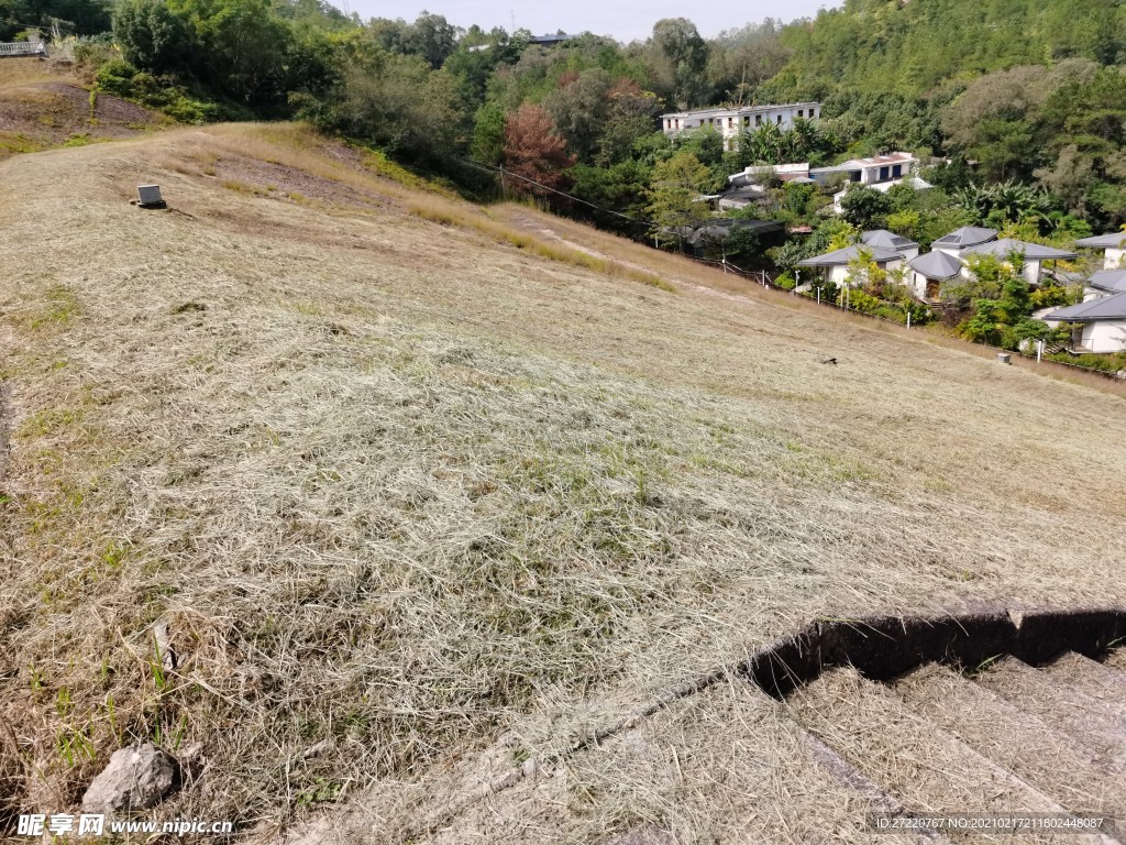益塘水库山坡草地