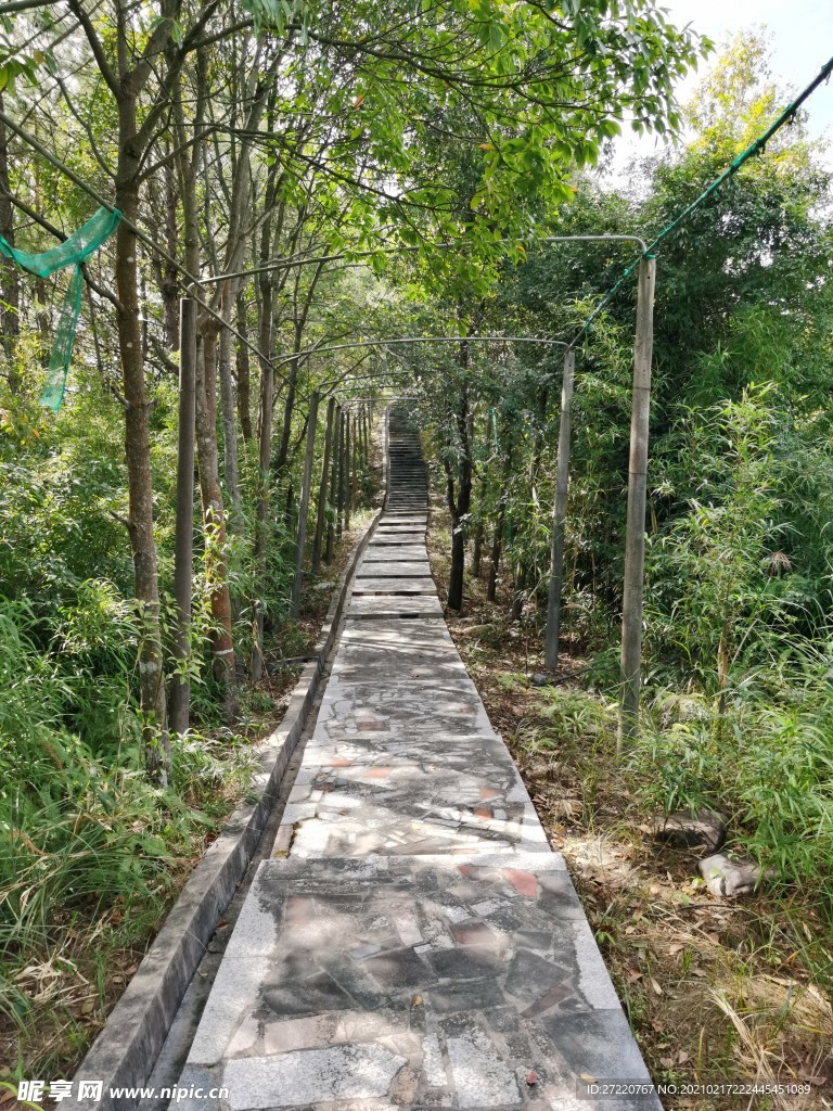 益塘水库风景区登山道