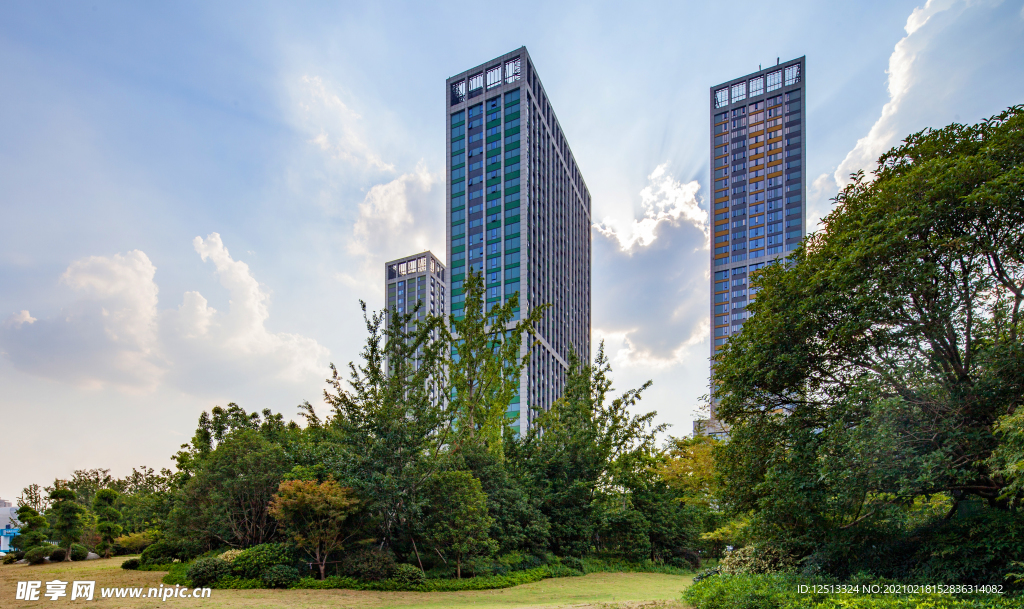 城市