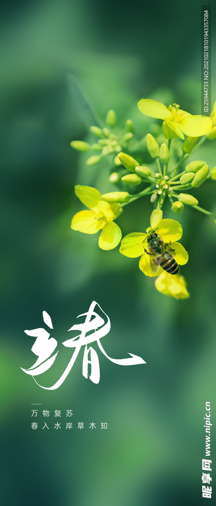 立春刷屏移动端海报