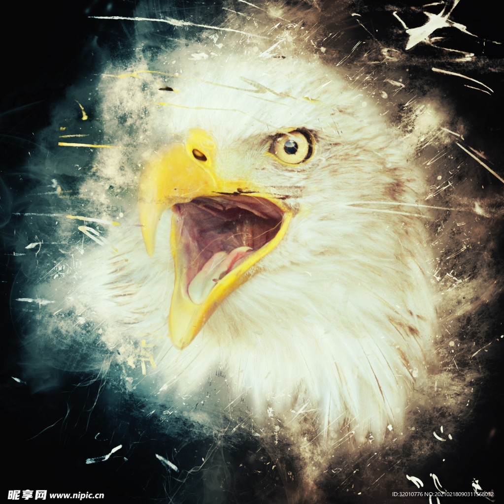 壁纸