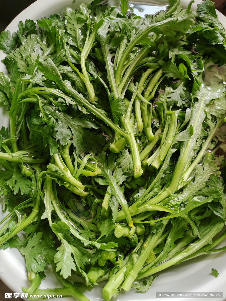 茼蒿