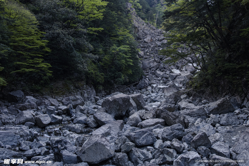 山