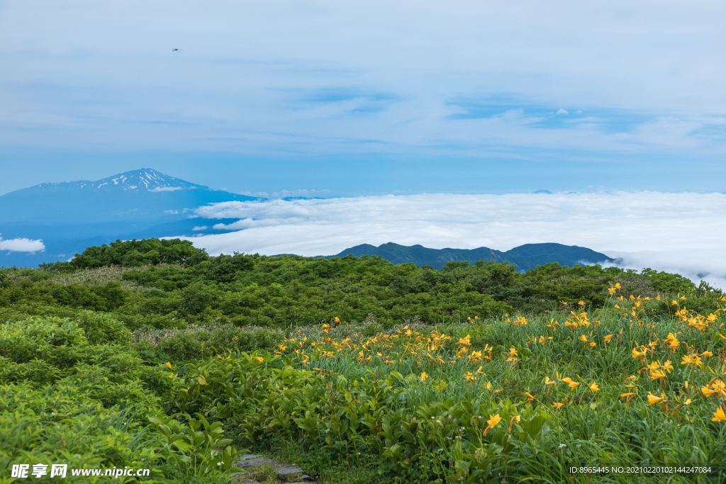山