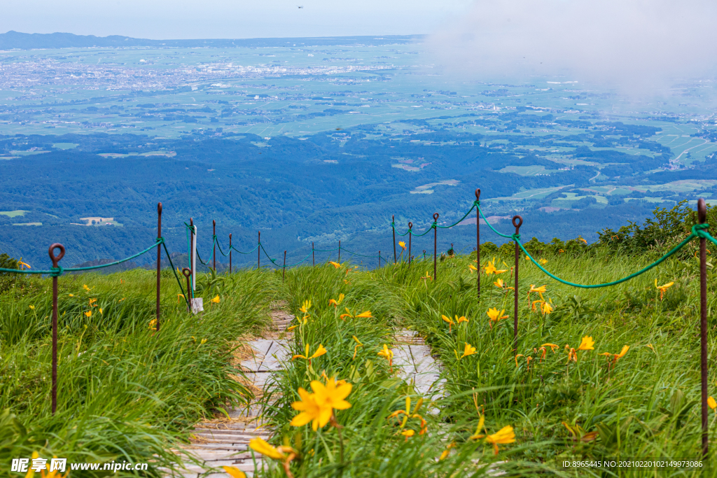 山