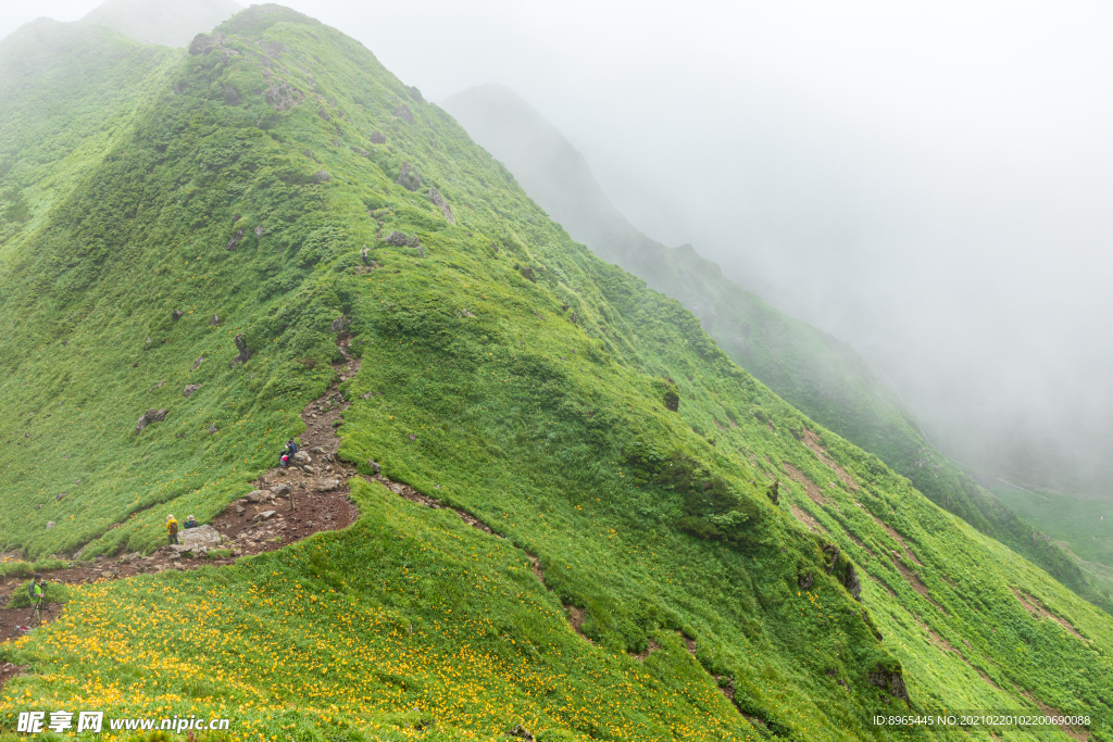 山