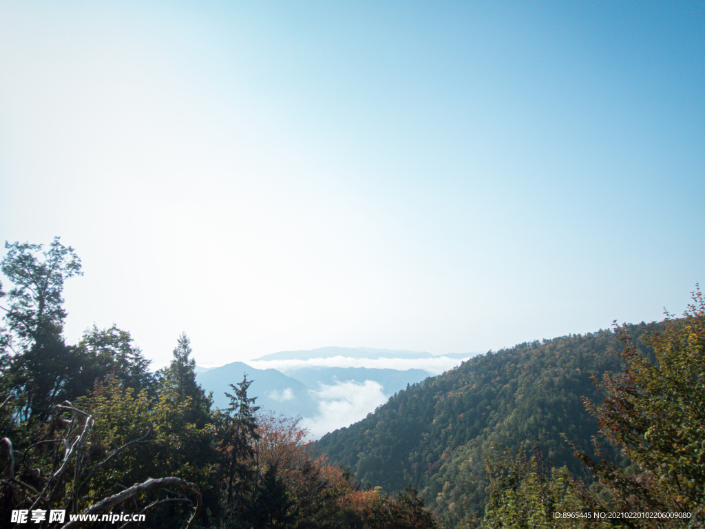 山