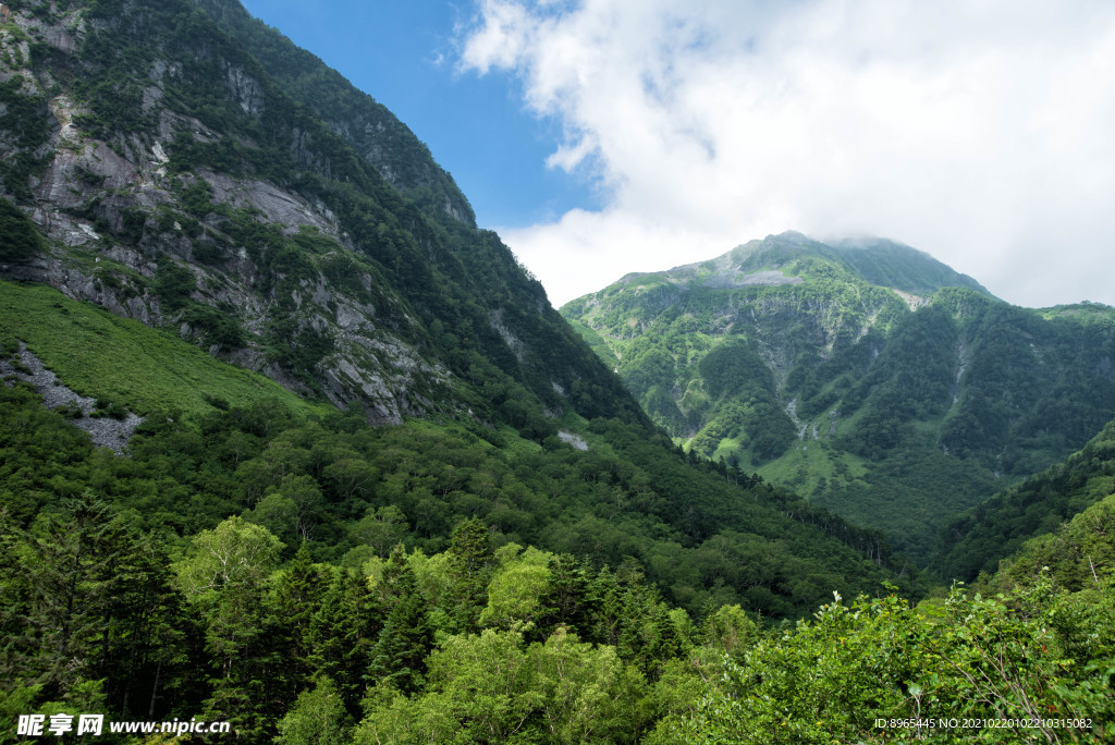 山