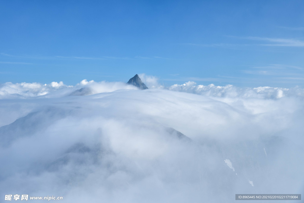 山