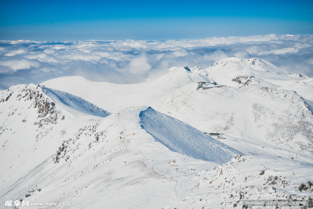 山