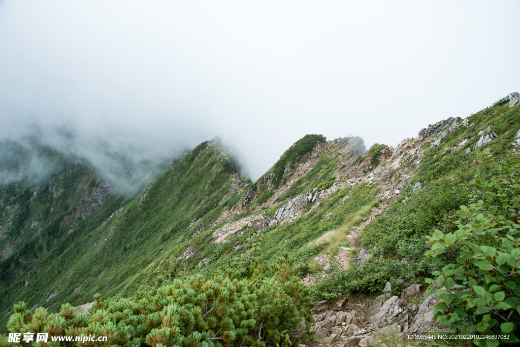 山