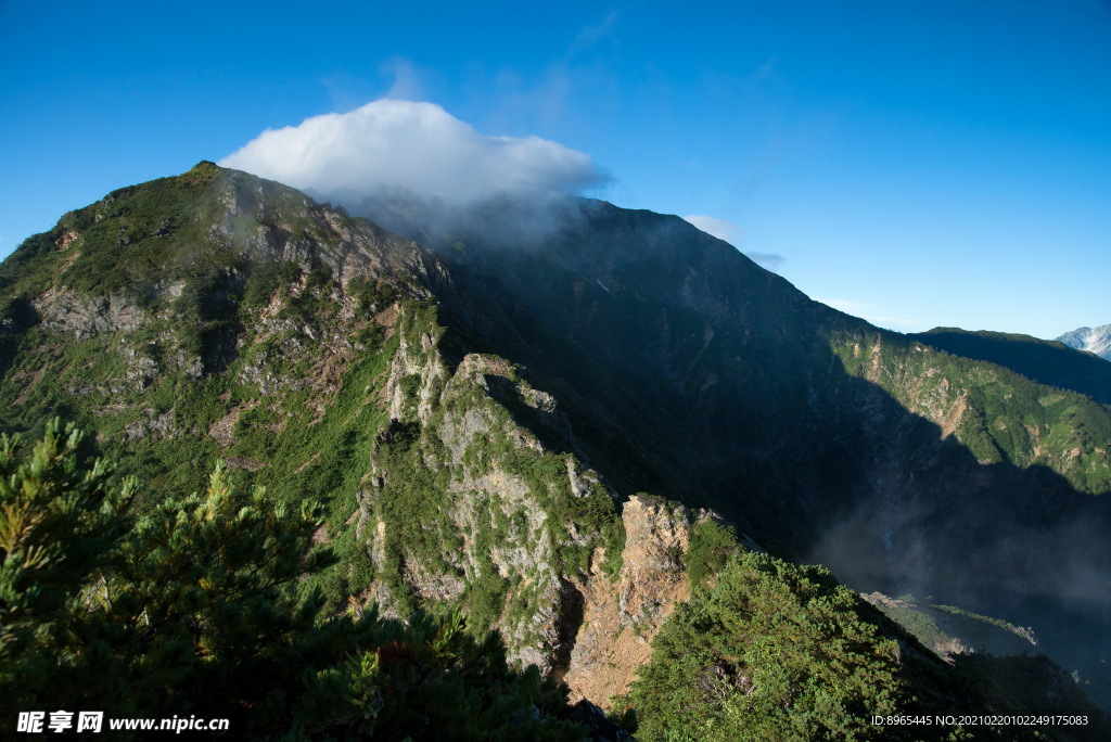 山