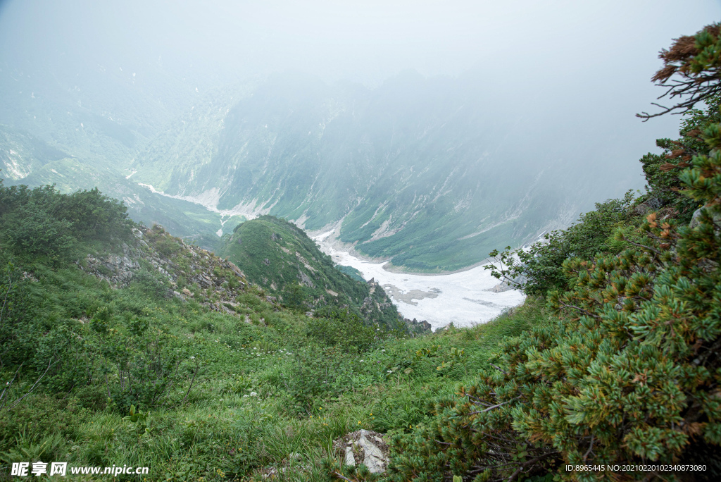 山