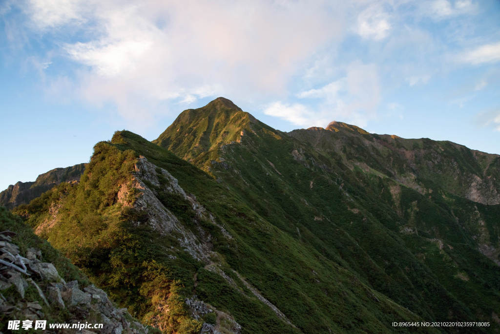 山