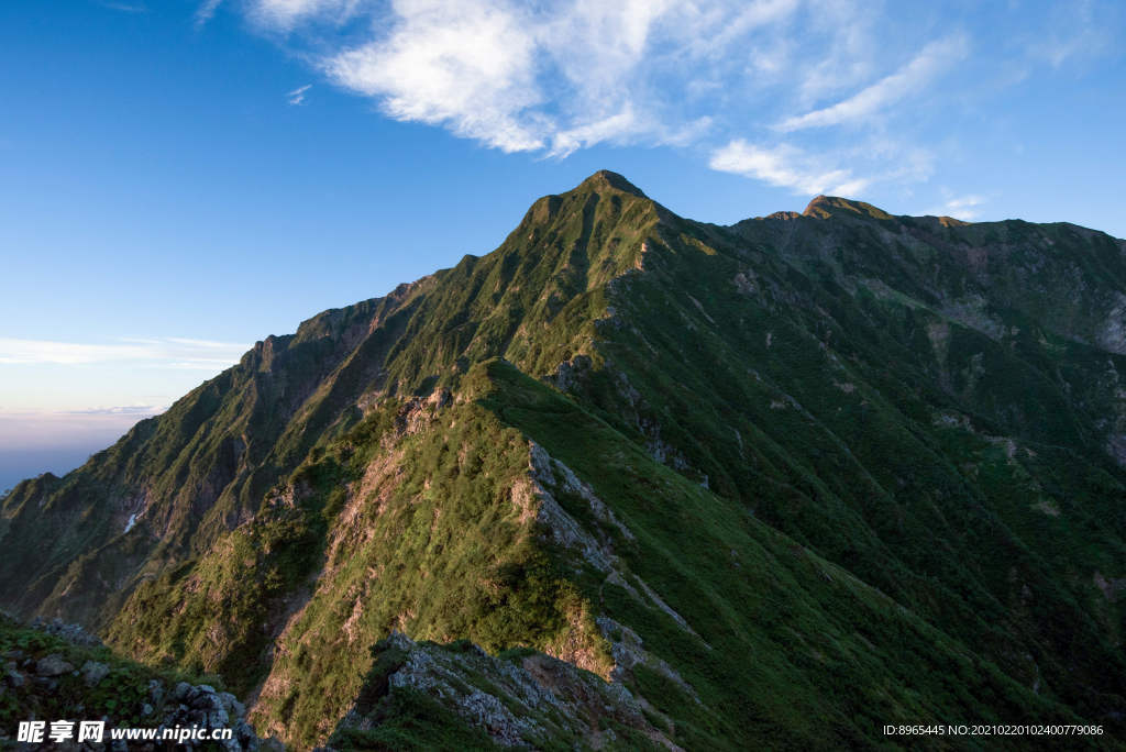山