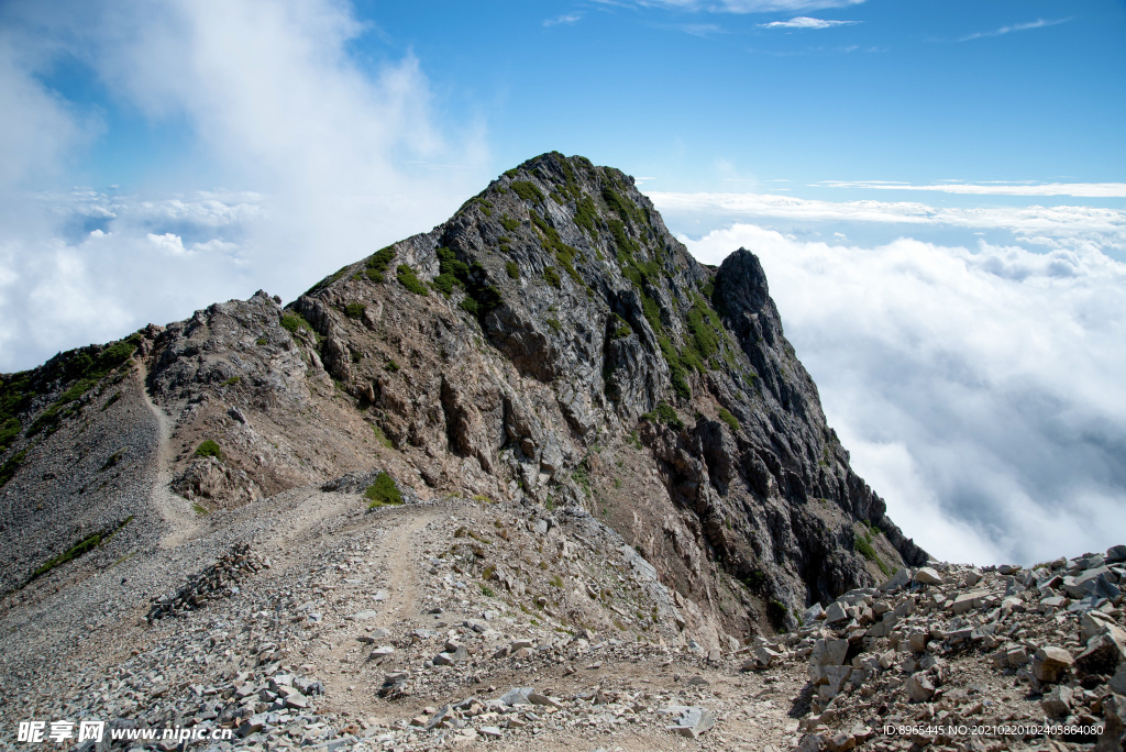 山
