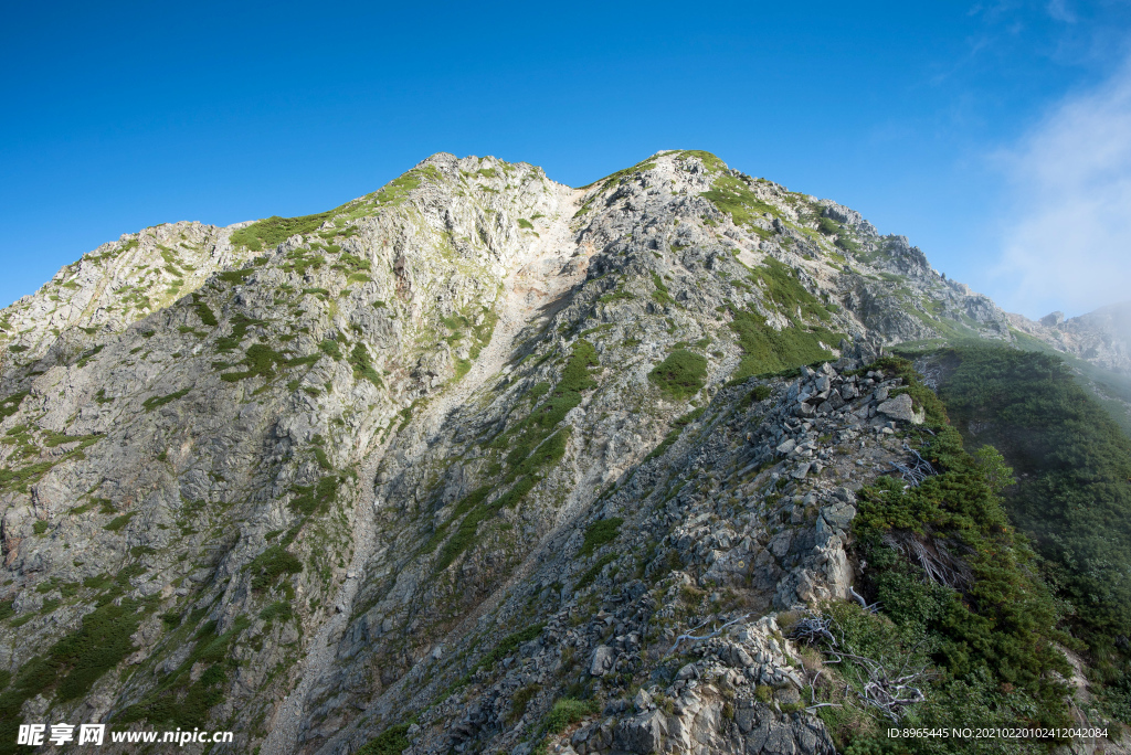 山