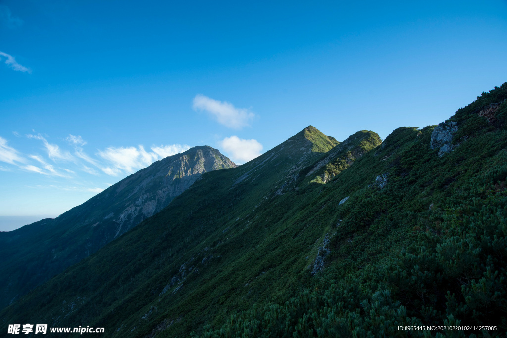 山