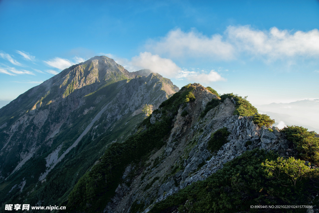 山