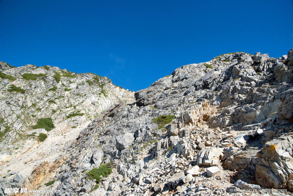 山