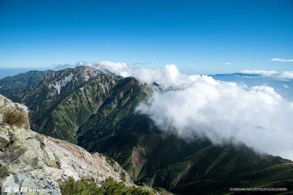 山