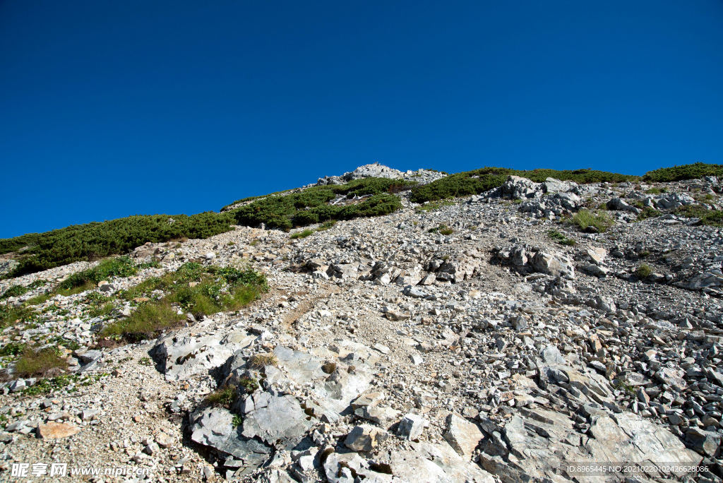 山