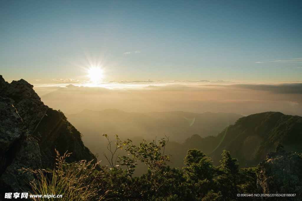 山