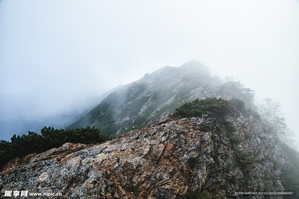 山