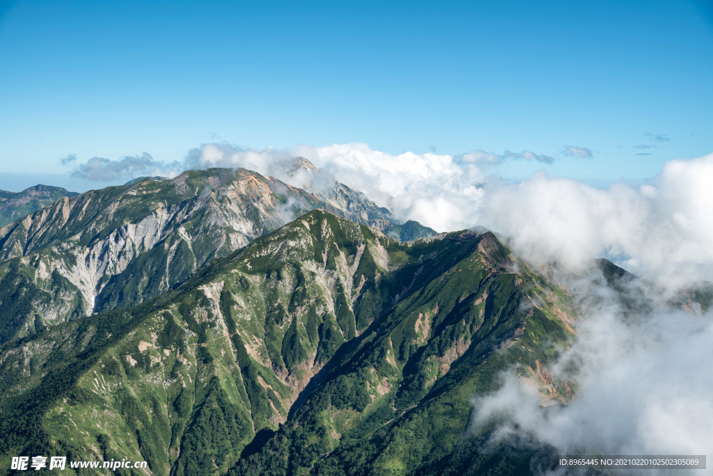 山