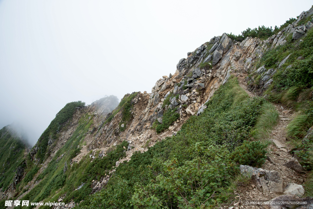 山