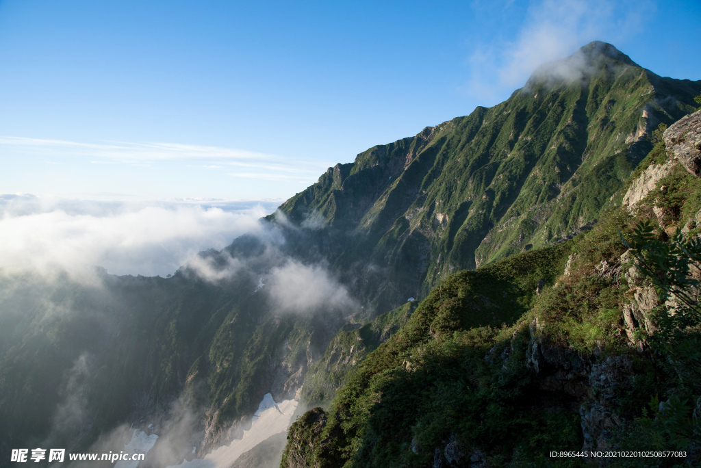 山