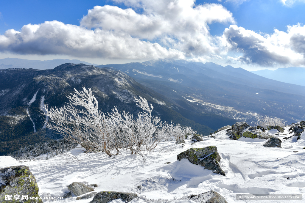 山
