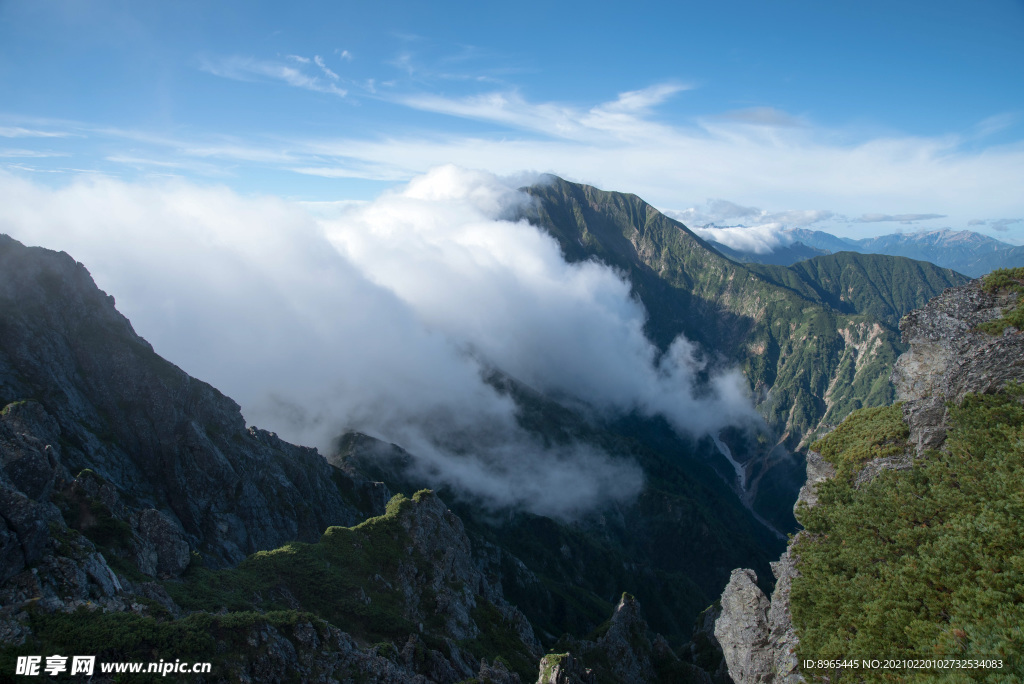 山