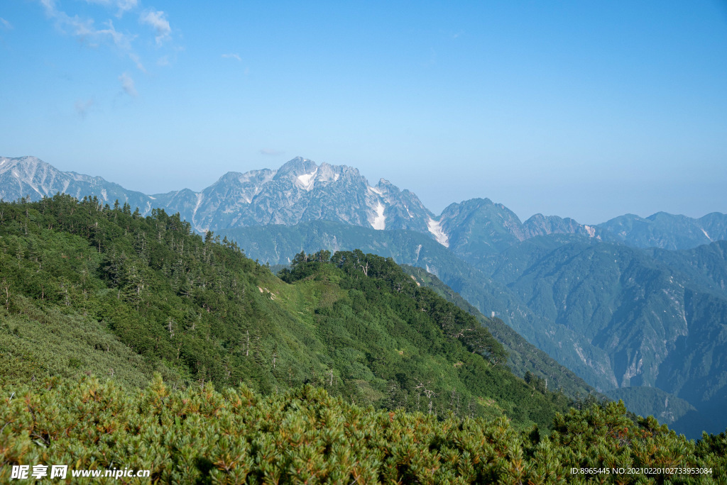 山