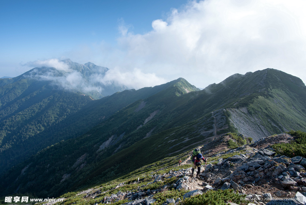 山