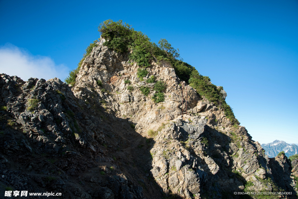 山