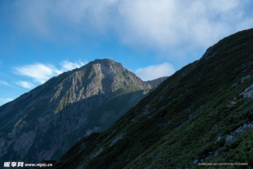 山