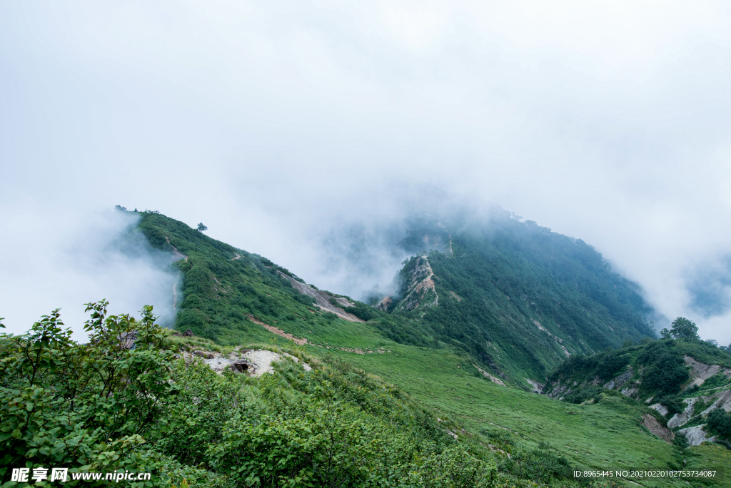 山
