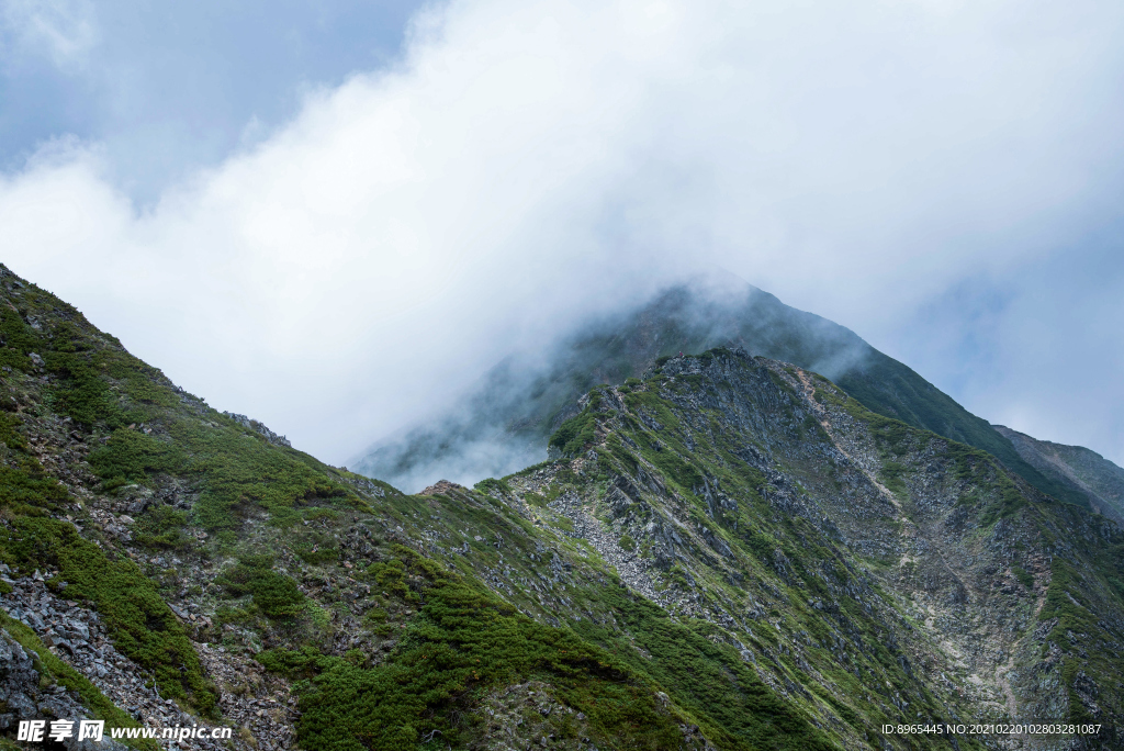 山