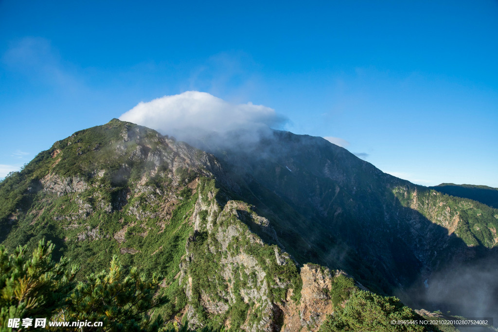 山