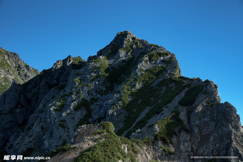 山