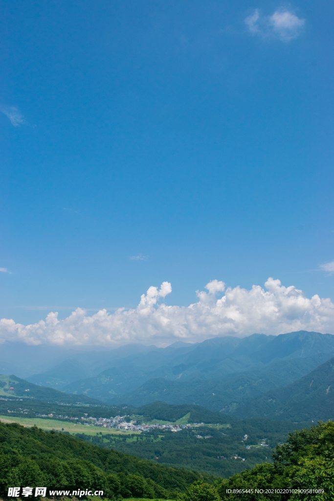 山