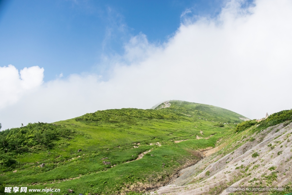 山