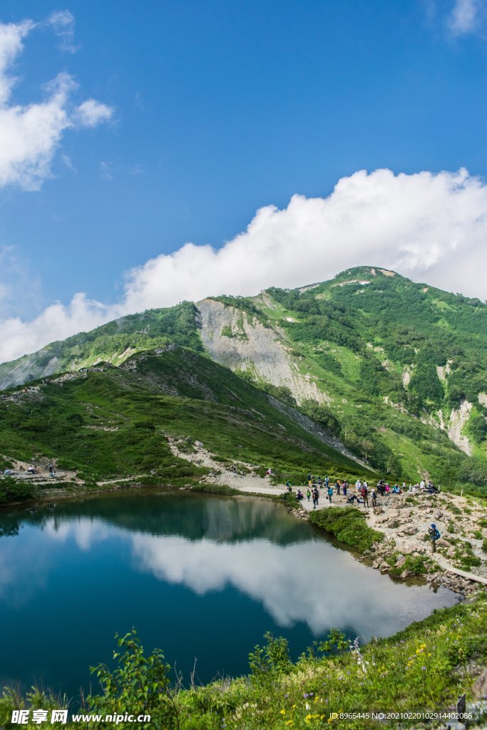 山