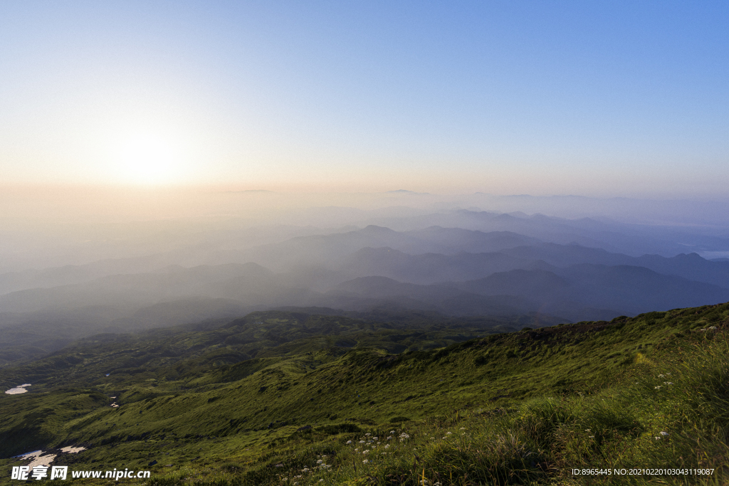 山