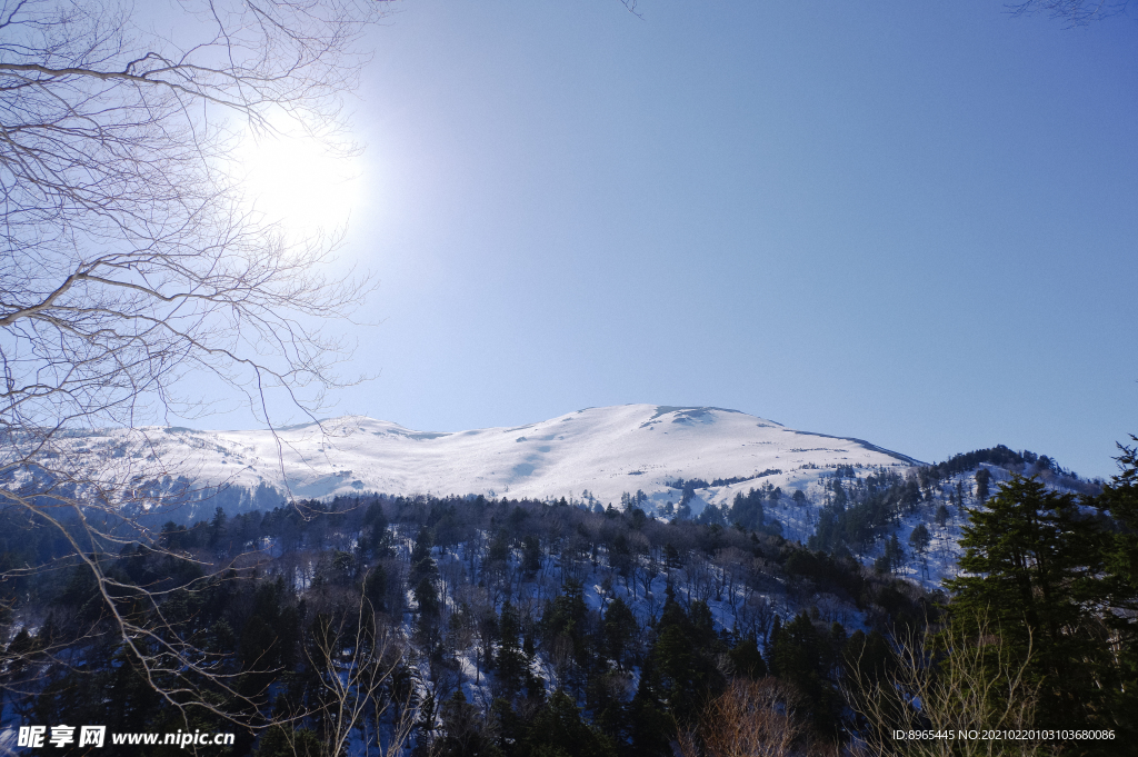 山