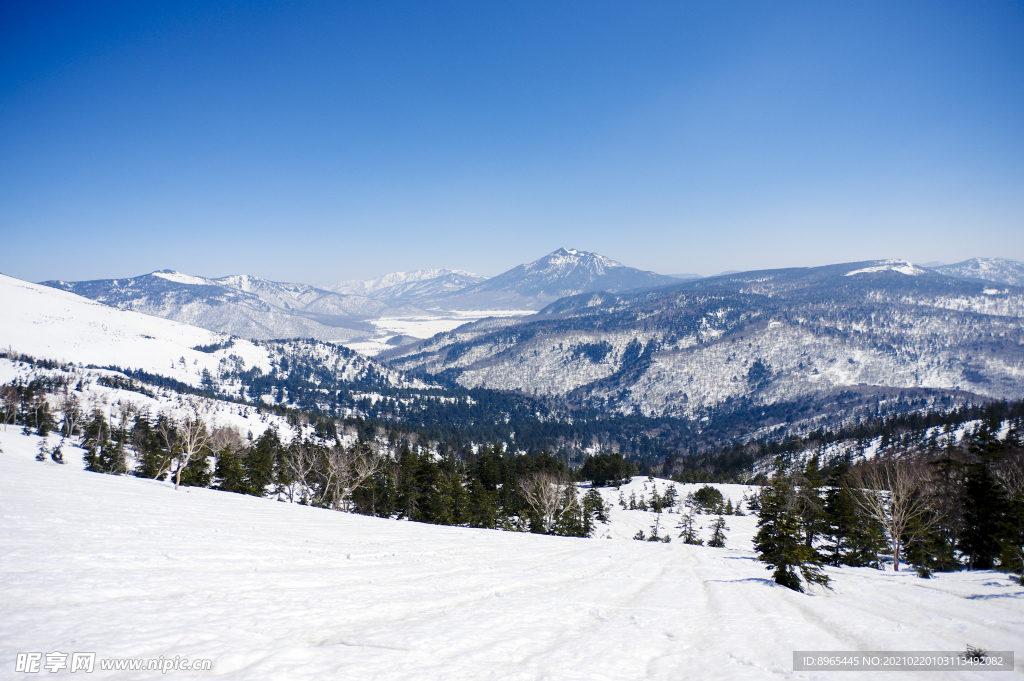 山