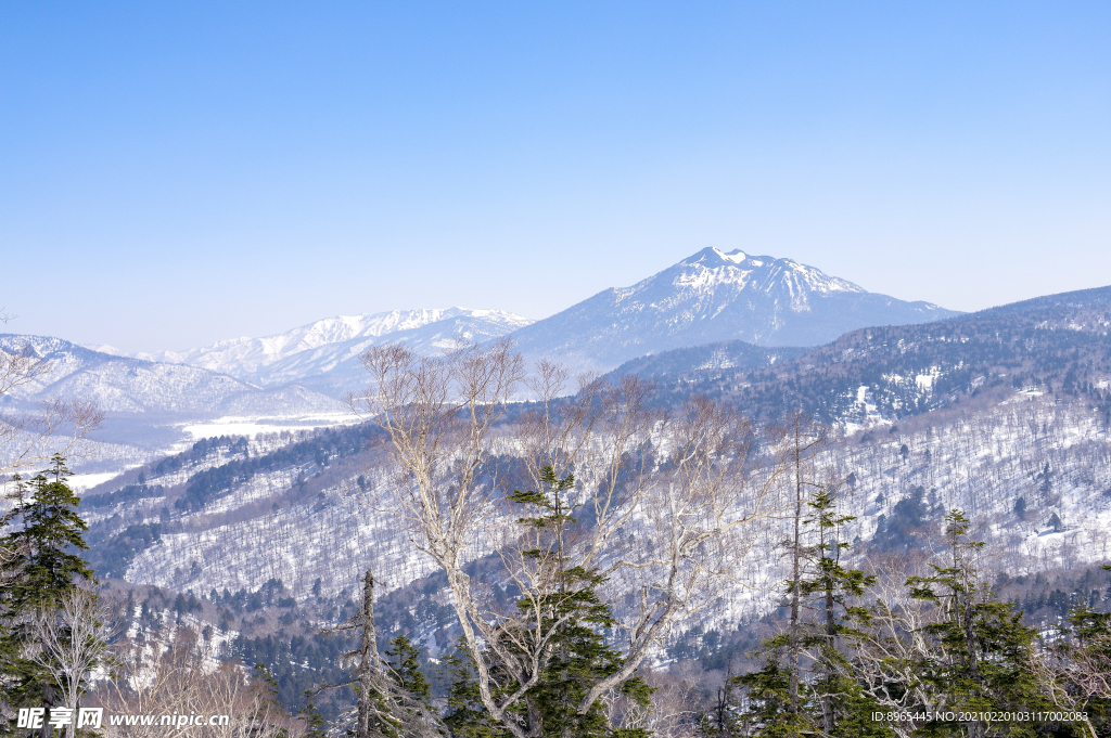 山