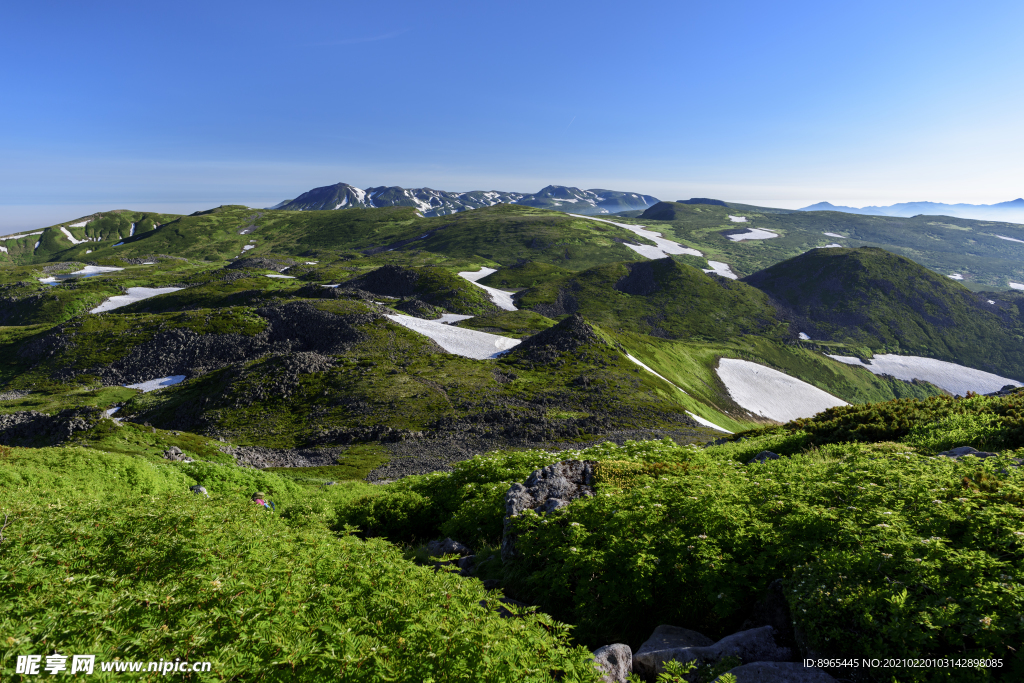 山
