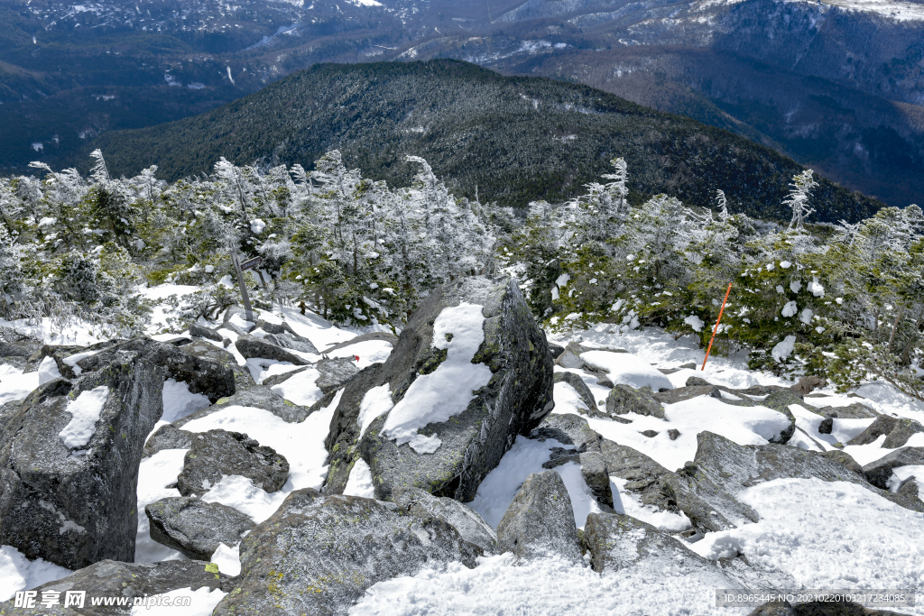 山